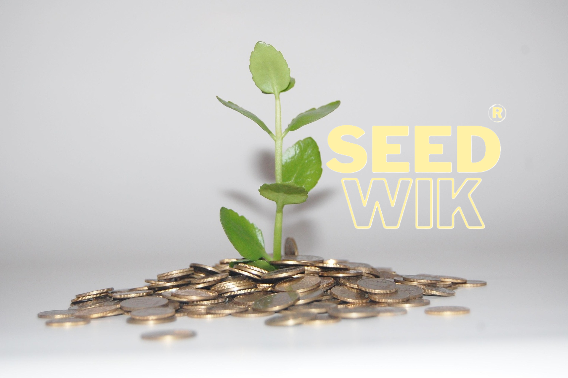 Business Incubation Center